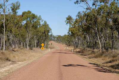Outback road  with narrows and floodway warning signs, near charters towers, queensland, australia