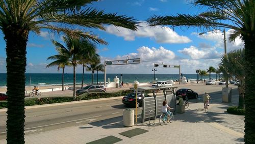 Palm trees on beach