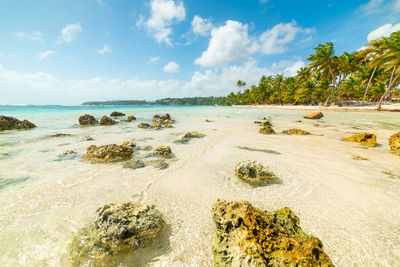 Scenic view of beach against sky