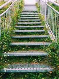 Staircase of grass