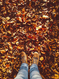 Low section of person standing on maple leaves