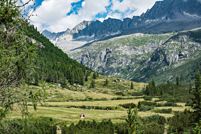 Scenic view of field and mountains against sky