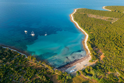Aerial view of the parzine beach on ilovik island, croatia