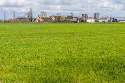 Scenic view of field against cloudy sky