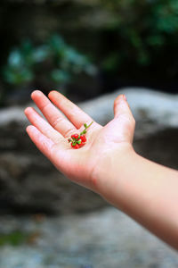 hand