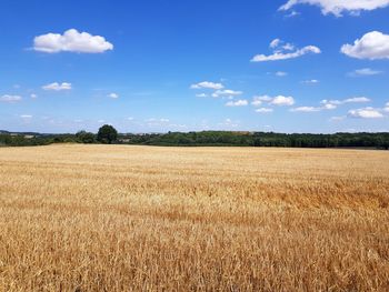 Scenic view of field against sky