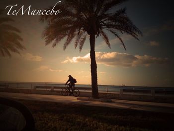 Silhouette of woman at sunset