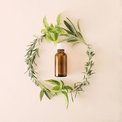 Bottle of essential oil with wreath from fresh basil twig on a white background. 