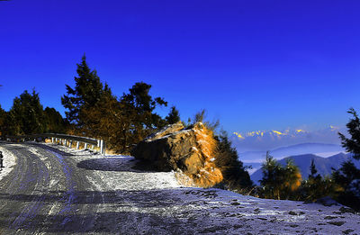 Road by trees against clear blue sky during winter