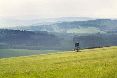 grassland