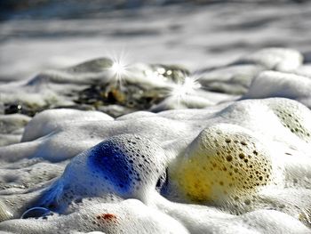 Close-up of beach