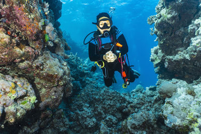 Diver exploring the great barrie reef