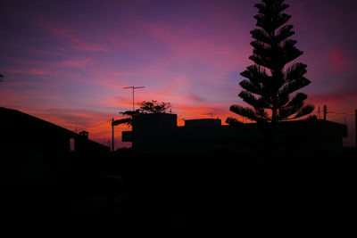 Low angle view of silhouette trees against sky during sunset