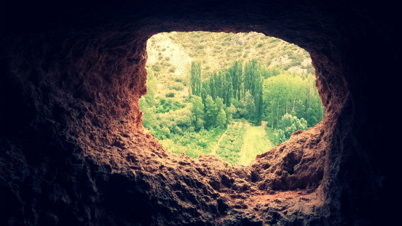 tree, indoors, arch, tranquility, nature, landscape, tranquil scene, built structure, stone wall, green color, day, history, hole, scenics, old ruin, no people, beauty in nature, growth, architecture, sunlight