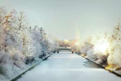 Snow covered trees against clear sky