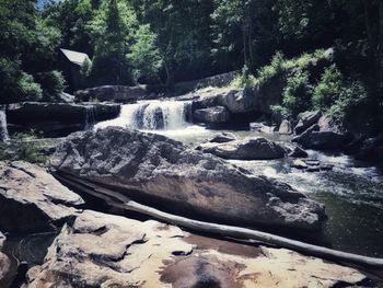 Scenic view of waterfall in forest