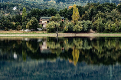 Reflection of trees and buildings on lake