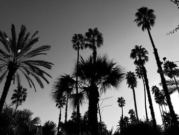 Low angle view of silhouette palm trees against sky during sunset