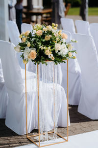 White flowers on chair by plants