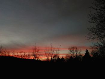 Silhouette trees against sky at sunset