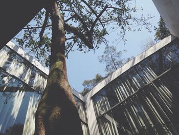 Low angle view of building against sky