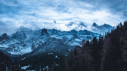 Panoramic view of trees in forest against sky