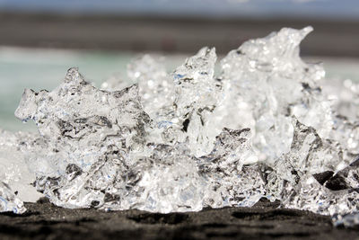 Close-up of ice on sand at beach