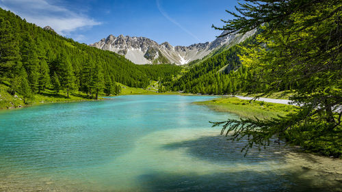 Orceyrette lake with its chalets scattered in the pastures covered with flowers