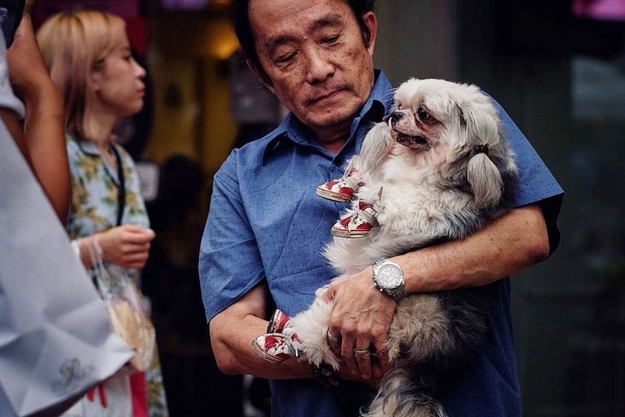 MAN AND DOG ON FLOOR