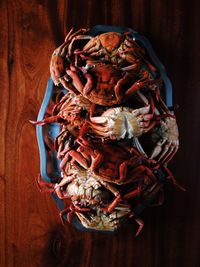 Close-up of food on table