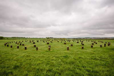 Hay bales on field against sky