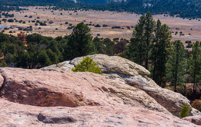 Landscape of rock formations atop el morro national monument in new mexico