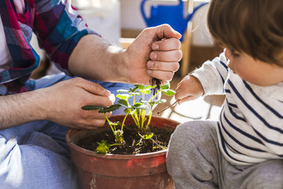 Father and son sitting by strawberry pot while planting plant at balcony