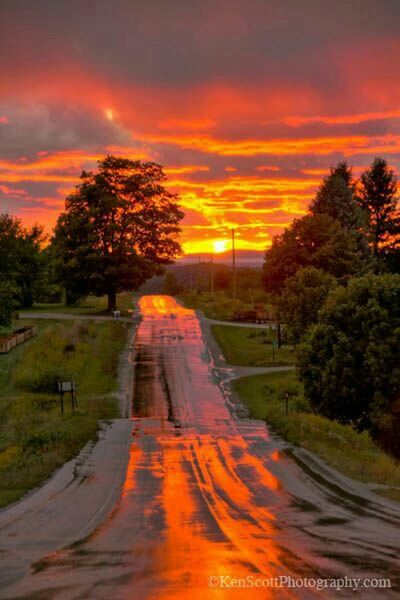 sunset, orange color, sky, tree, the way forward, transportation, road, cloud - sky, diminishing perspective, dramatic sky, beauty in nature, vanishing point, scenics, cloudy, nature, tranquil scene, tranquility, street, outdoors, cloud