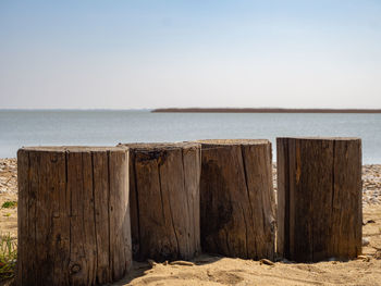 Wooden posts on beach against clear sky