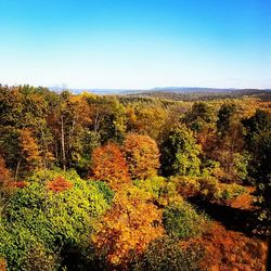 Scenic view of landscape against clear blue sky