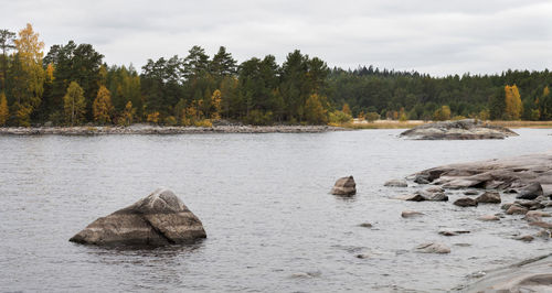 Rocks by sea against sky in forest