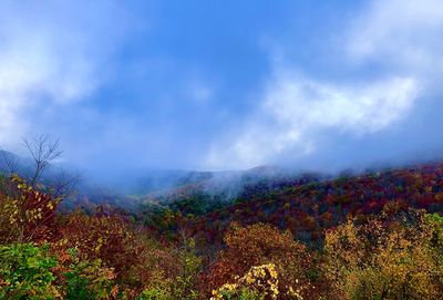 Scenic view of landscape against sky during autumn