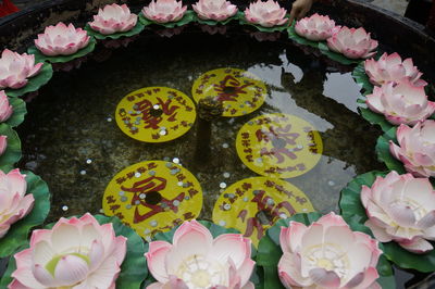 High angle view of flowers in market