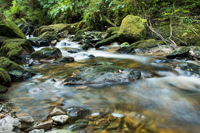 Scenic view of stream by rocks