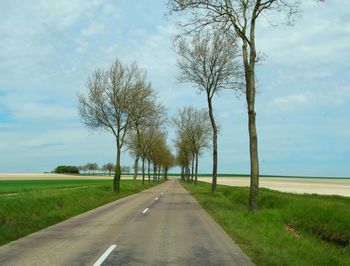 Road amidst trees on field against sky