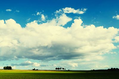 Scenic view of agricultural field against sky