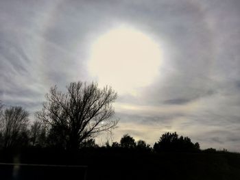 Low angle view of silhouette trees against sky at sunset