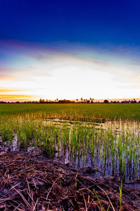 Scenic view of field against sky during sunset