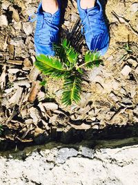 Low section of woman standing by plants