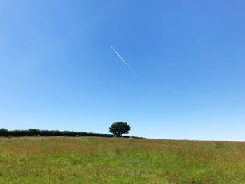 Scenic view of field against clear sky