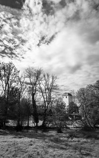 Trees on field against sky