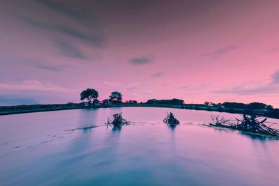 Silhouette trees by sea against sky during sunset