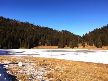 Scenic view of snow covered land against clear blue sky