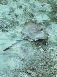 Full frame shot of frozen sea